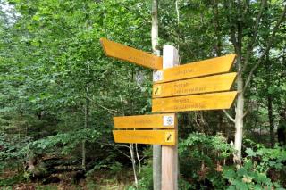 Schoenes 1 Zimmer, Sauna, Nationalpark, Free Parking - 3