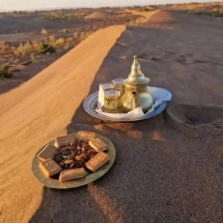 Under 1000 Stars Camp - 8