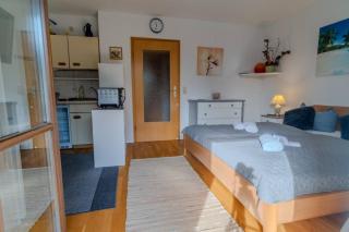 Schoenes 1 Zimmer - Sauna - Schwimmbad - Free Parking - 3