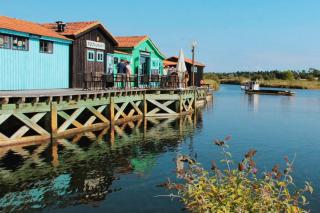 Camping Les Pins d'Oléron - 6