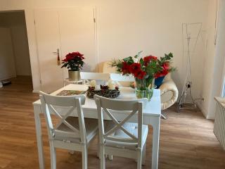 Geräumige Wohnung bei Basel - 9