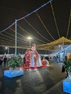 Step Out to Stores & Parks TOP - 1BR on Blvd - 4