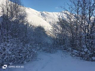 Chalets Sybelles - Saint-Sorlin-dʼArves - 6