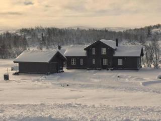 Cozy Cabin With Ski Trail Access - Beitostøl - 9