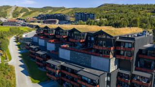 Central, Cozy & Pet-Friendly - 0