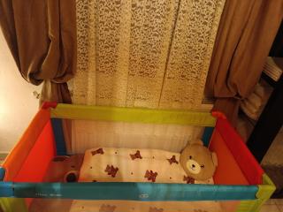 Rooster Retreat - Aridaia - 4