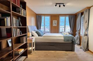 River - 3 with Iconic Jungfraujoch View - 9