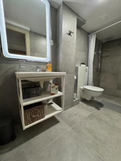 River - 3 with Iconic Jungfraujoch View - 4