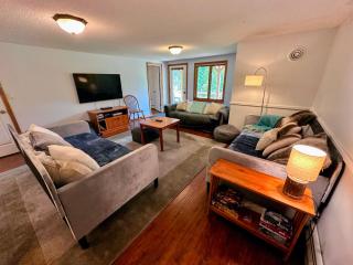 MW58 Renovated Bretton Woods townhome with gorgeours views, AC, Dog Friendly! - 7