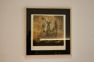 Casa Carmen Morelos - 9