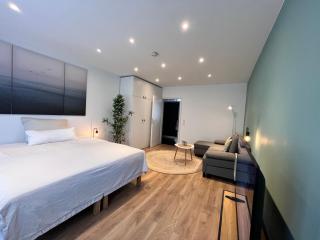 Goldstadt Apartments Pforzheim - 1