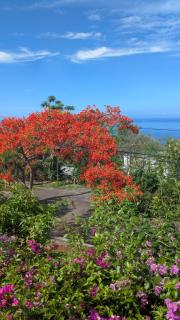 La maison des artistes - 6