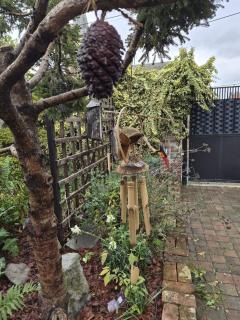 Maison cocon à crespin - 8