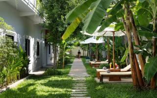 The Tree - Adults only - 5