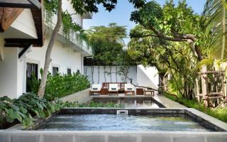 The Tree - Adults only - 8