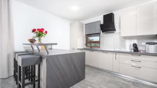 Modern villa Bibali Istra with pool in Buje - 3