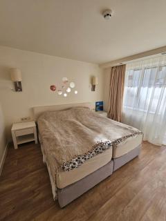 Sunlit Forest Suite - 7