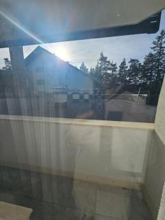 Sunlit Forest Suite - 2