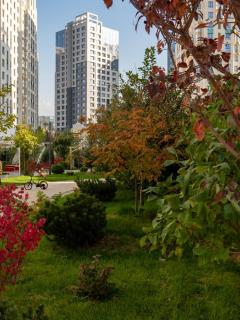 Central avenue 22 - 3