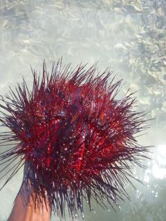 Mount Zion Guest House, Mtwapa Mtomondoni - 9