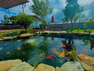 Khu vườn của Nàng - Le Jardin De Nang - 1