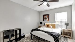 Stunning Heated Pool House for 10 in Brandon, FL - 6