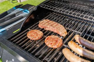 Luxurious Spa Retreat with Stunning Pool in Palm Harbor - 1