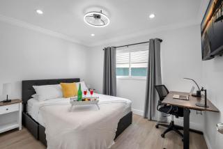 WOW! Pickleball Gym Stylish Modern Living - 6