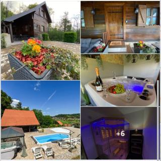 Family Friendly superior villa with heated pool 365 days, whirlpool, sauna, playground and barbeque in privacy near forest - 0
