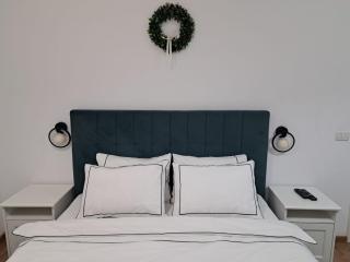 Casa din livada Borlova - 9