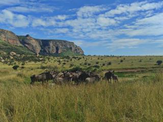 Mount Everest Guest Farm - 6