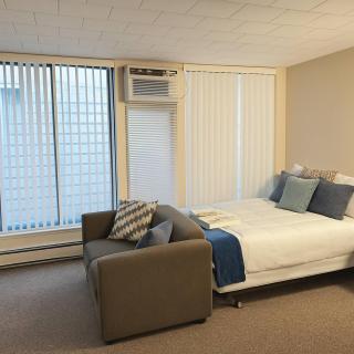 Ann Arbor Downtown Access - Walk to Stadium, Major Hospitals & Restaurants - 4