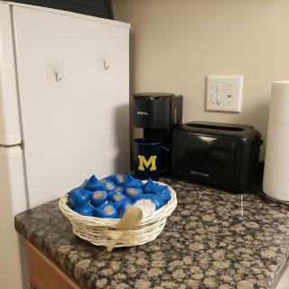 Ann Arbor Downtown Access - Walk to Stadium, Major Hospitals & Restaurants - 1