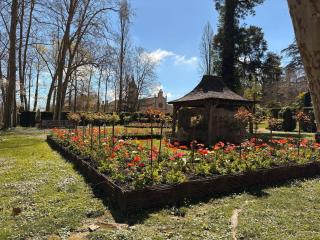 Confort et écrin de verdure ! - 3