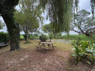 Confort et écrin de verdure ! - 2