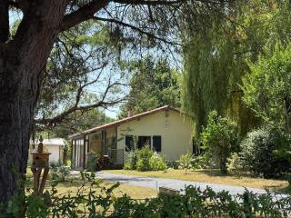 Confort et écrin de verdure ! - 1