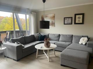 Hjemmekoselig Toppleilighet I Sentrum - 9