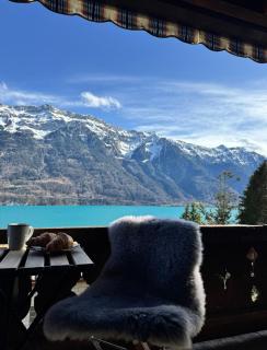 Breathtaking Lake Mountain View Apartment 2 - 7