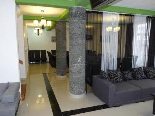 Casa de Vacanta Marjacu - 9