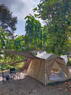 Paivana Khaosok Village - Khao Sok - 6