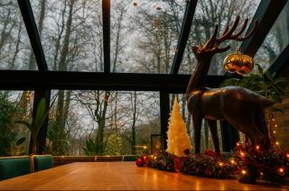 5 Star Luxury Woodland Retreat Sleeps 12 Hot tub Sauna - 5