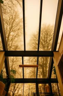 5 Star Luxury Woodland Retreat Sleeps 12 Hot tub Sauna - 7