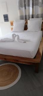 Charmant studio avec jacuzzi à Les Abymes, 25 m² - 3