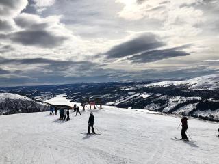 Cozy apartment for six persons with sauna and fireplace - 3