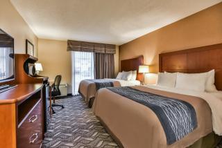 Comfort Inn & Suites Ambassador Bridge - 4
