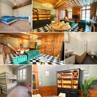 L'Ecrin Balgentien - A deux pas de la Loire et du Centre - 9