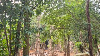 Valley Village Resort Phu Quoc - 6