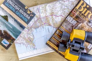 Lodge 15 at Landscove Holiday Park - 4