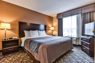 Comfort Inn & Suites Ambassador Bridge - 6