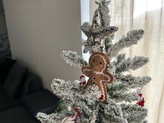 Mountain Place to Remember - River & Barbecue - 6